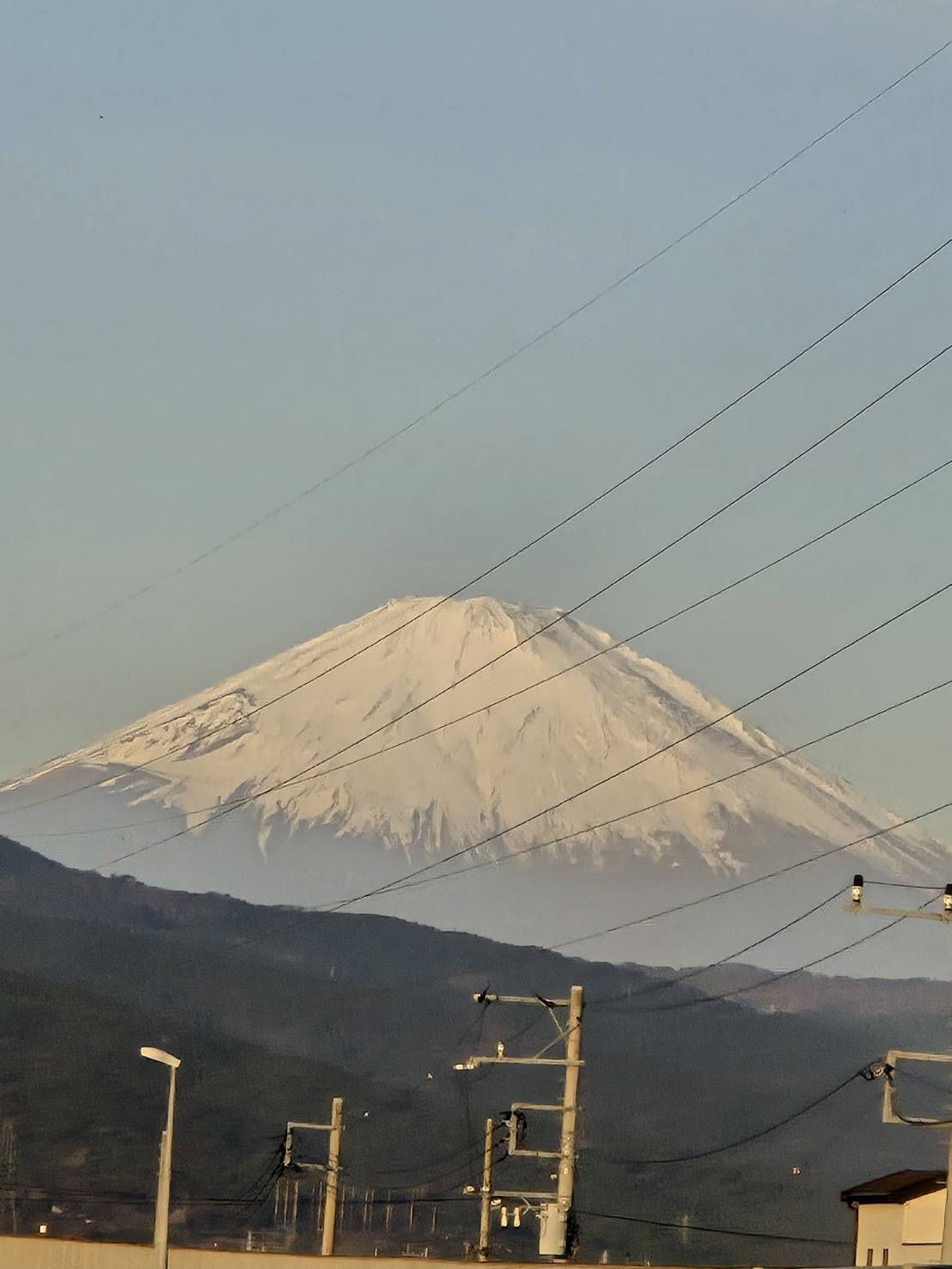いつかのラウンド⛳️ 朝の空気と木の匂い、やっぱ最高!