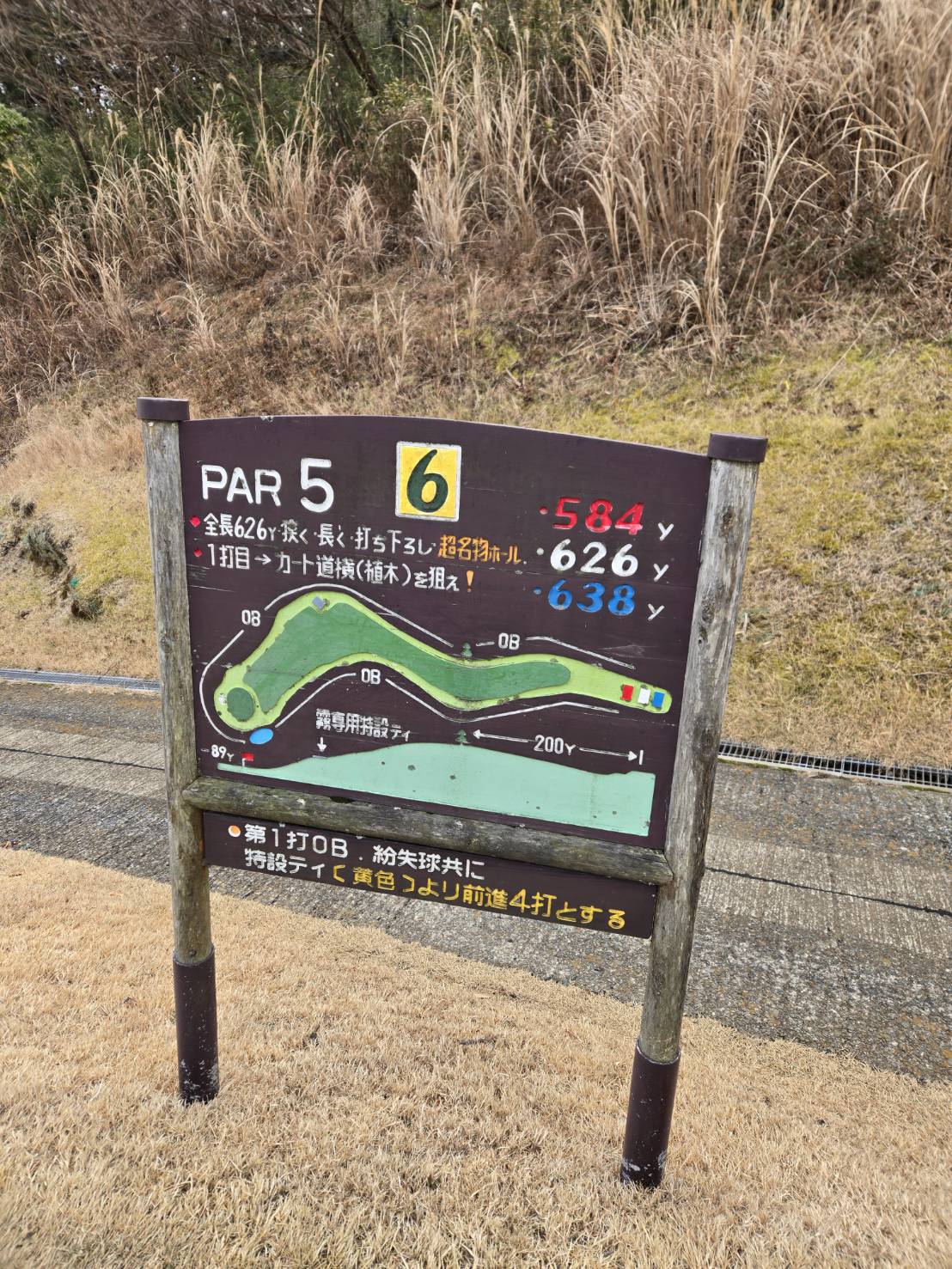 いつかのラウンド⛳️ 朝の空気と木の匂い、やっぱ最高! - 写真3